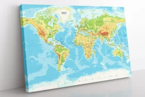 Framed World Map